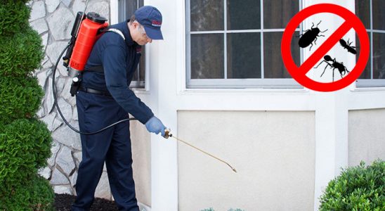 Şavşat Dezenfeksiyon böcek ilaçlama ve haşere kontrolü — ilaclama-tr.com